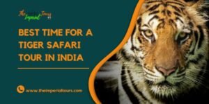 Read more about the article What Is the Best Time for a Tiger Safari Tour in India?