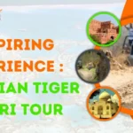 Inspiring Experience: An Indian Tiger Safari Tour