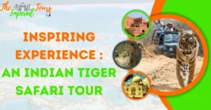 Read more about the article Inspiring Experience: An Indian Tiger Safari Tour